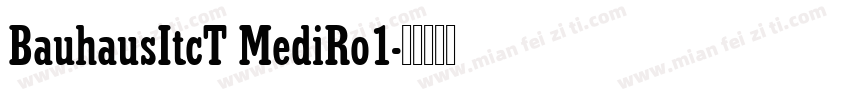 BauhausItcT MediRo1字体转换